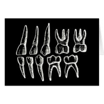 Gray's Anatomy — teeth Greeting Cards