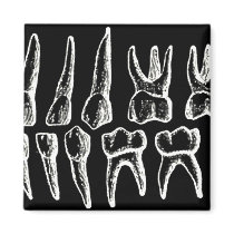 Gray's Anatomy — teeth Refrigerator Magnet
