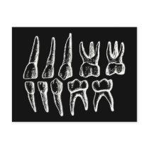 Gray's Anatomy — teeth Postcards