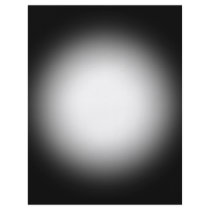 Grayscale Spotlight: Customize This Template! flyers