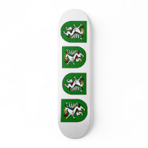 Graz, Austria skateboards