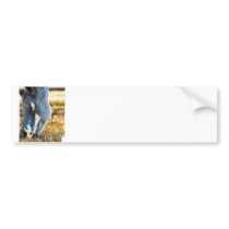 Grazing Appaloosa Horse Bumper Sticker