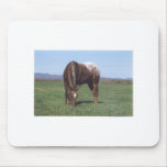 Grazing Appaloosa Mouse Mat