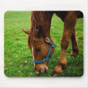Grazing Chestnut with Stripe mousepads
