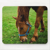 Grazing Chestnut with Stripe mousepads