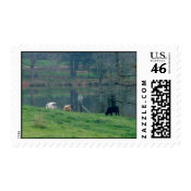 Grazing Cow's stamp