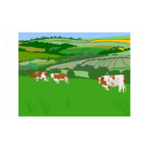 Grazing Cows posters