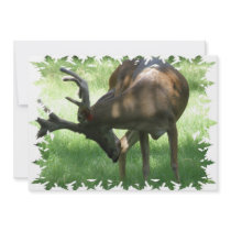 Grazing Deer Invitation