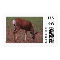 Grazing Deer postage by sumiko Grazing Deer postage