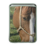 Grazing Draft Horse 13" MacBook Sleeve