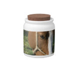 Grazing Draft Horse Candy Jar