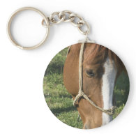 Grazing Draft Horse Keychain