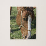 Grazing Draft Horse Puzzle