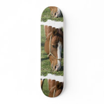 Grazing Draft Horse Skateboard