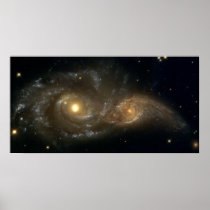 Grazing Encounter posters