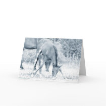 Grazing Foal Greeting Card_Motivational
