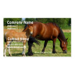 Grazing Horse Family Business Card