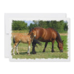 Grazing Horse Family Invitation