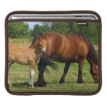 Grazing Horse Family iPad Sleeve