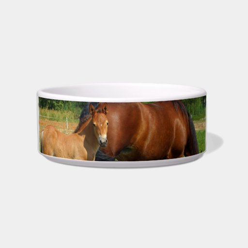 Grazing Horse Family Pet Bowl Cat Food Bowl