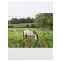 Grazing Horse Personalized Flyer