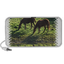 Grazing Horse Pair Speakers