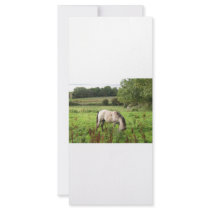 Grazing Horse rack cards by A_Phoenix Grazing Horse rack cards