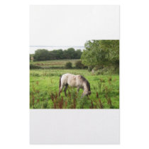 Grazing Horse stationery