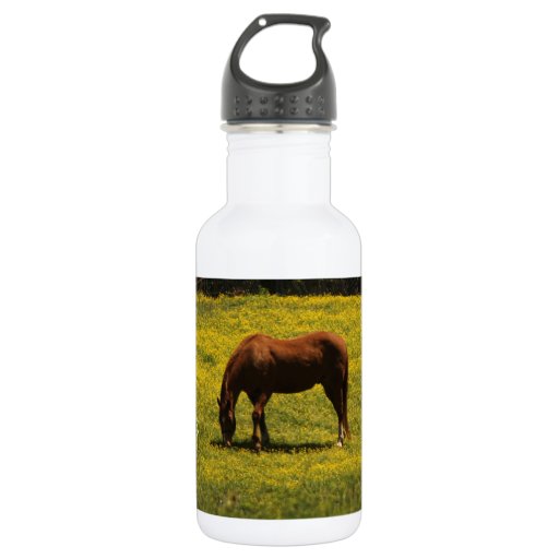 Grazing Horse Water Bottle 18oz Water Bottle Zazzle