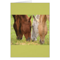 Grazing Horses Card