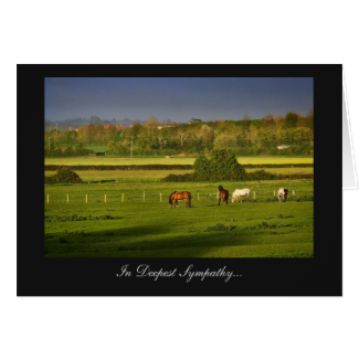 Grazing Horses / Ponies - In Deepest Sympathy Greeting Card