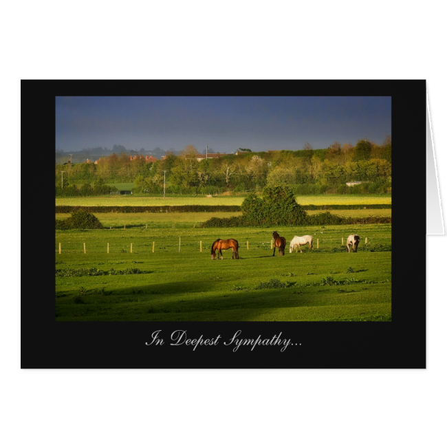 Grazing Horses / Ponies - In Deepest Sympathy Greeting Card