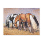 Grazing Horses Post Cards