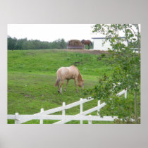 Grazing Horses Print
