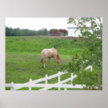 Grazing Horses Print