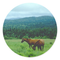 Grazing Horses with Mountain Backdrop stickers by HorseLoversGifts Grazing Horses with Mountain Backdrop stickers