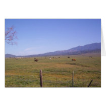 Grazing in the grass cards
