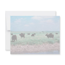 Grazing on Wetland (cows) invitations by animalpark Grazing on Wetland (cows) invitations