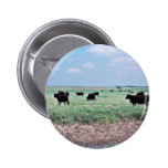Grazing (Other uses for Wetlands) Buttons