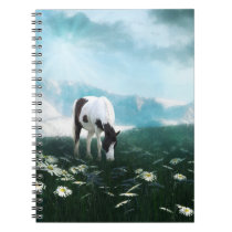 Grazing paint horse notebooks
