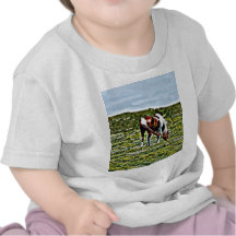 Grazing Paint Horse with yellow flowers Tee Shirt