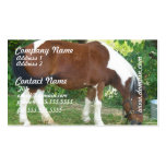 Grazing Pony Business Cards