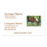 Grazing Pony Business Cards