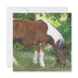 Grazing Pony Invitations