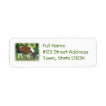 Grazing Pony Mailing Label
