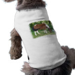 Grazing Pony  Pet Shirt