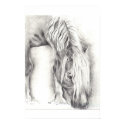 Grazing Pony posters by creativeflairuk Grazing Pony posters