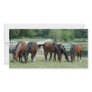 Grazing Quarter Horses Custom Photo Card
