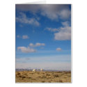 Grazing the Wind River Range, Wyoming cards by nlarson Grazing the Wind River Range, Wyoming cards