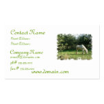 Grazing White Horse Business Card